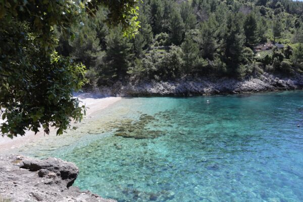 Orlanduša - photo 3