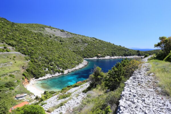 Pavija Luka - photo 1
