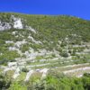 Pavija Luka - photo 3