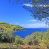 Poplat - photo 6