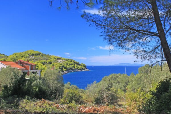 Poplat - photo 6