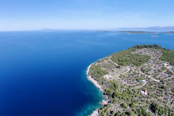 Poplat - photo 8