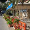 Račišće - photo 12