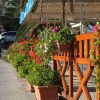 Račišće - photo 13