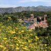 Račišće - photo 15