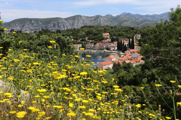 Račišće - photo 15