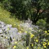 Račišće - photo 16