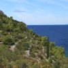 Račišće - photo 24