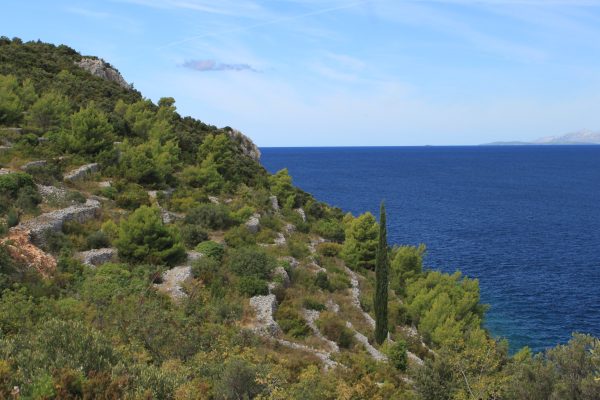 Račišće - photo 24