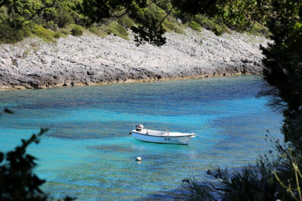 Rasohatica - photo 12