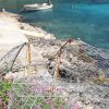 Rasohatica - photo 15