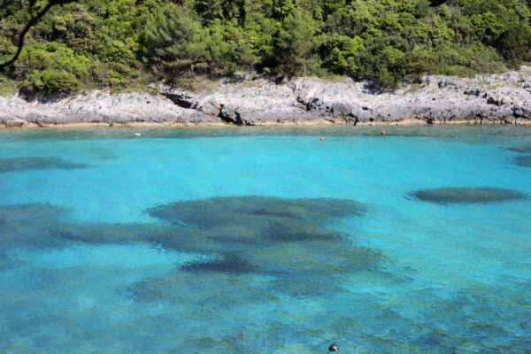 Rasohatica - photo 16