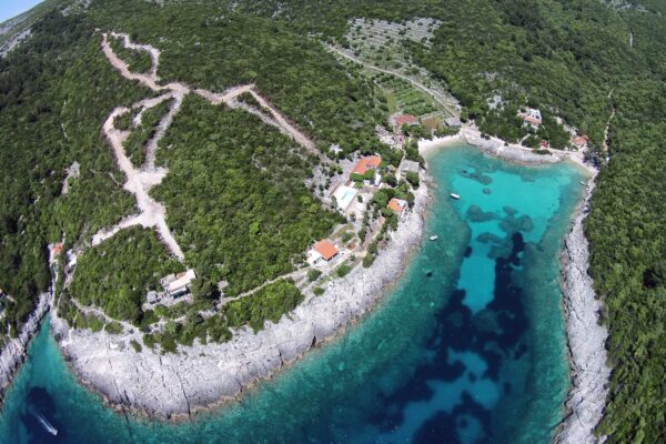 Rasohatica - photo 4