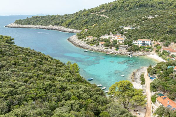 Rasohatica - photo 6