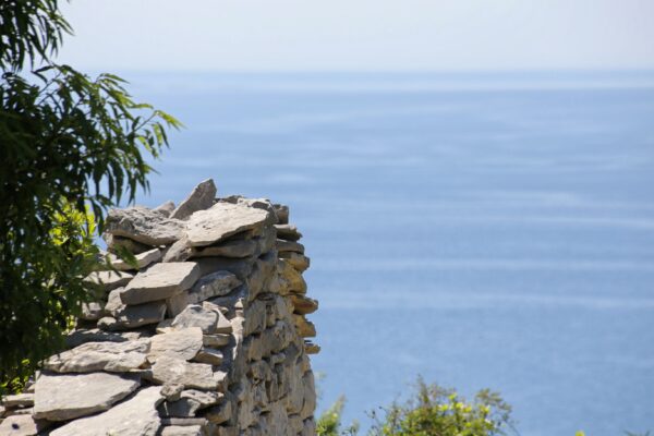 Smrč - photo 8