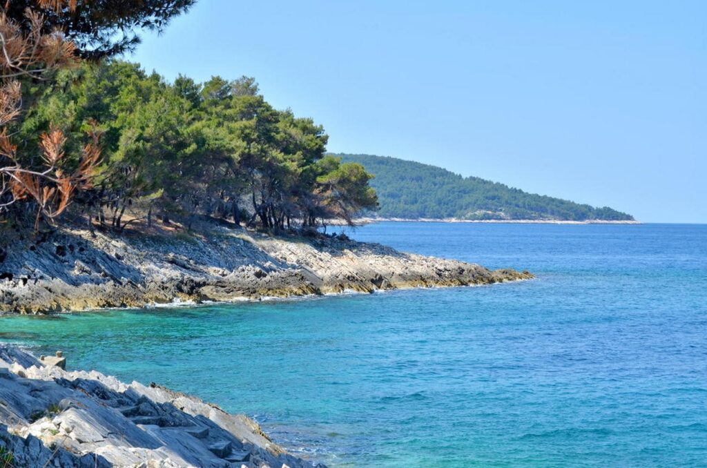 Dalmatia Korcula Vela Borova Croatia