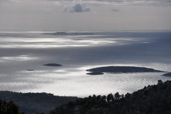 Vela Luka - photo 12