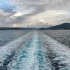 Vela Luka - photo 13