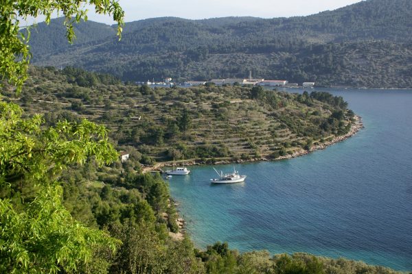 Vela Luka - photo 18