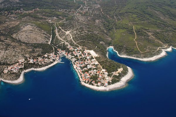 Zavalatica