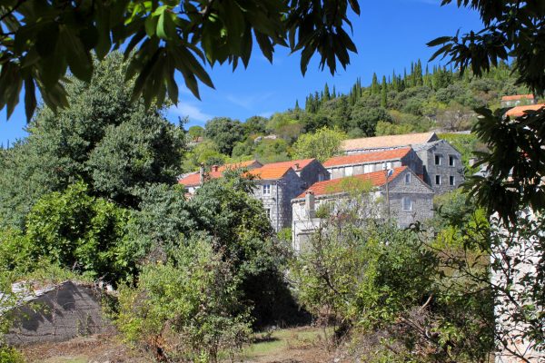 Žrnovo - photo 8