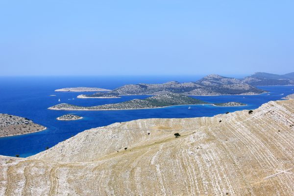Dragišina