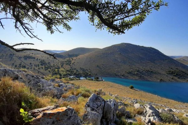 Lupešćina