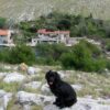 Lupešćina - photo 4