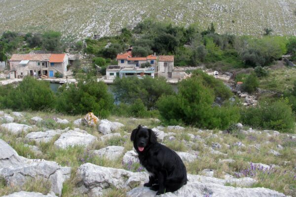 Lupešćina - photo 4