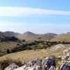 Vela Proversa - photo 3