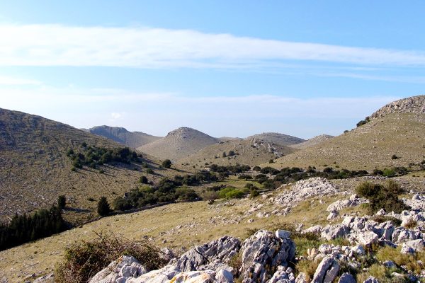 Vela Proversa - photo 3