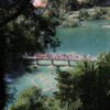 Bogatić - photo 4