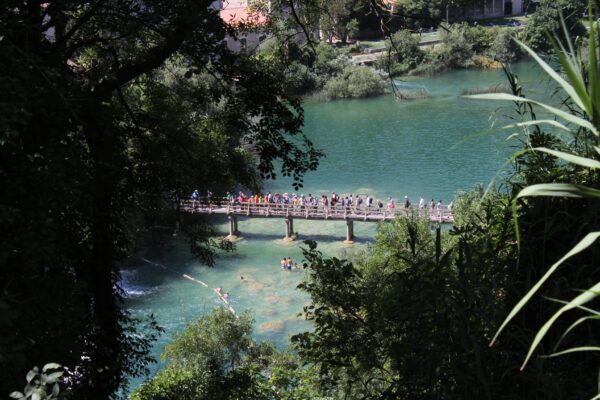 Bogatić - photo 4