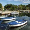 Raslina - photo 1