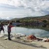 Raslina - photo 10
