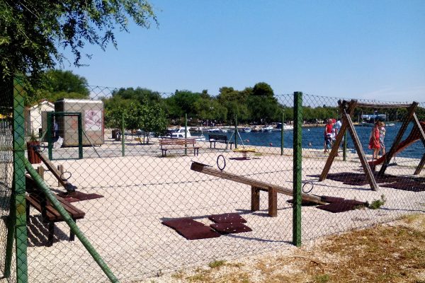 Raslina - photo 3