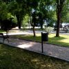 Raslina - photo 4