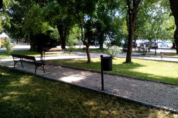 Raslina - photo 4