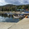 Raslina - photo 5