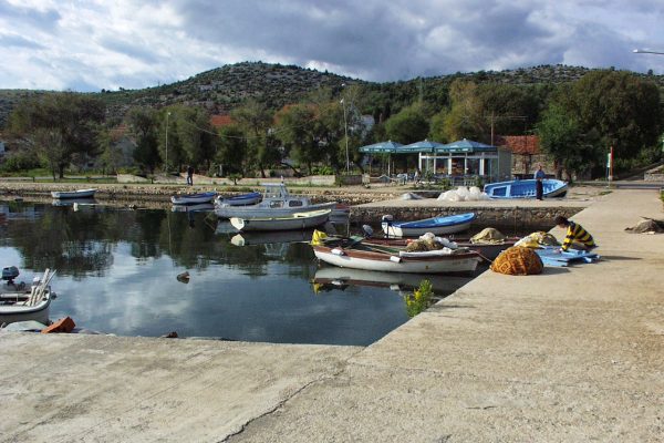 Raslina - photo 5