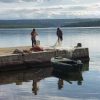 Raslina - photo 6