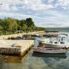 Raslina - photo 8