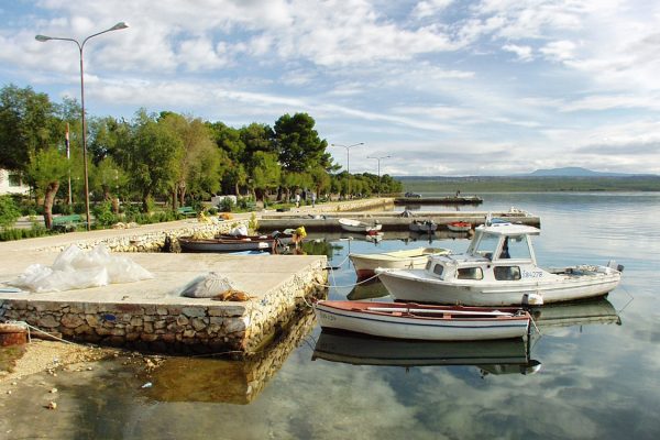 Raslina - photo 8