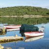 Raslina - photo 9