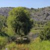 Skradin - photo 12