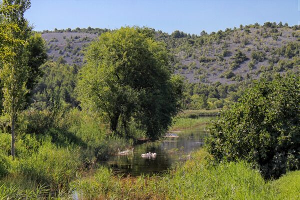 Skradin - photo 12