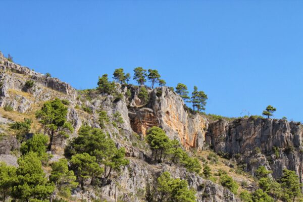 Skradin - photo 14