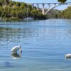 Skradin - photo 9