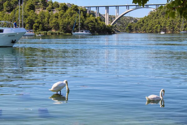 Skradin - photo 9