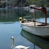 Zaton - photo 4